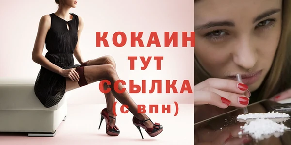 мяу мяу мука Надым