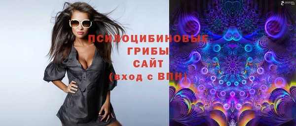 винт Нея