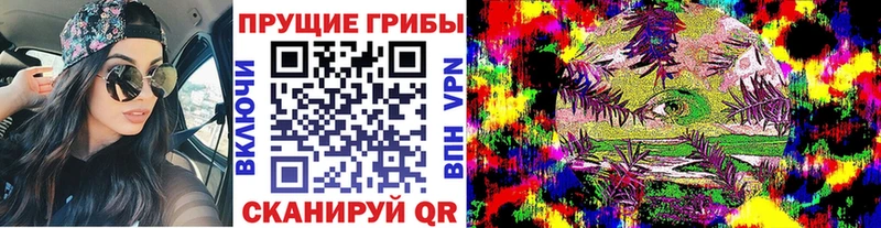 Псилоцибиновые грибы GOLDEN TEACHER  продажа наркотиков  Поворино 