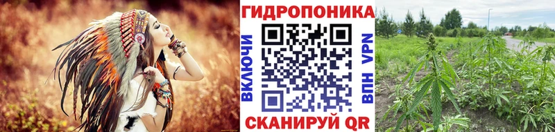 Конопля план Поворино